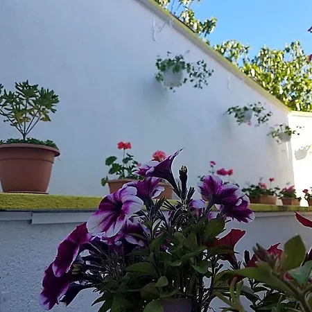 Hotel Argentum Vrbnik (Primorje-Gorski Kotar)