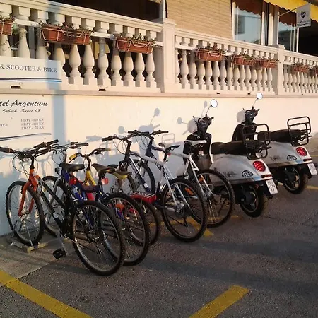 Hotel Argentum